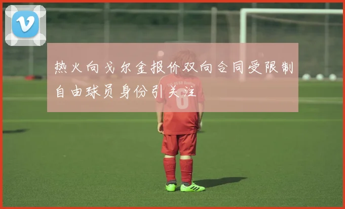 热火向戈尔金报价双向合同受限制自由球员身份引关注